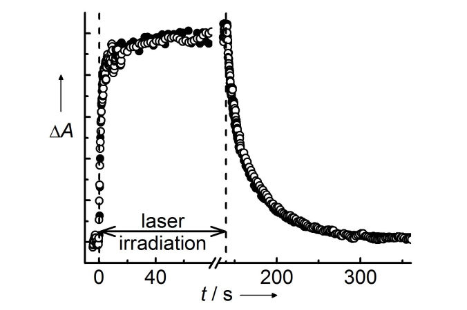 reaction kinetics